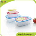 Multi-Usage Valley Cartoon Sweet Gift Microwave Plastic Food Case Box Container Sets